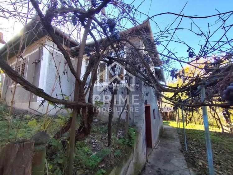 Casa Individuala 3 camere| 769 mp teren| zona Blaj Casa Individuala 3 camere| 769 mp teren| zona Blaj