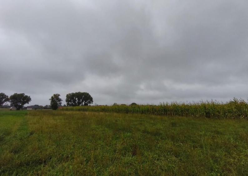 Teren intravilan, 5200mp, front 27ml, Fratautii Vechi, Radau - 2