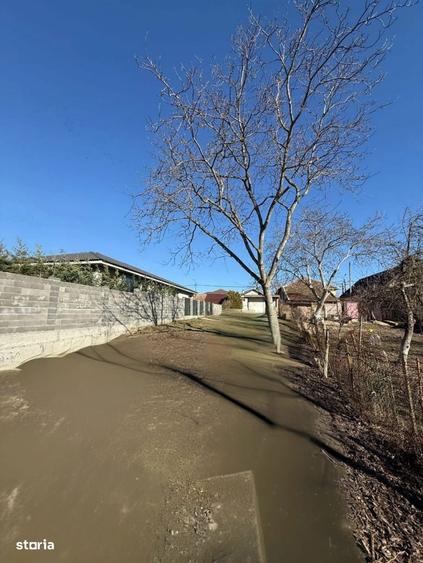 Loc de casa in Aradul Nou - 2