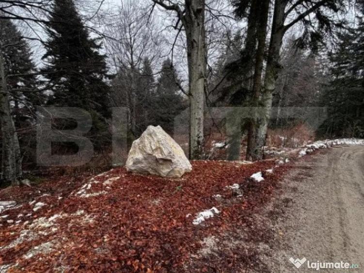 Teren unic, exclusivist 4000 mp, in inima muntilor, Sinaia - 8