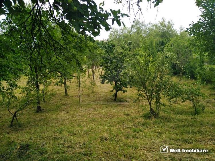 Casa individuala in Sancraiu (CJ), 4 camere, 160mp utili, 3400mp teren - 19