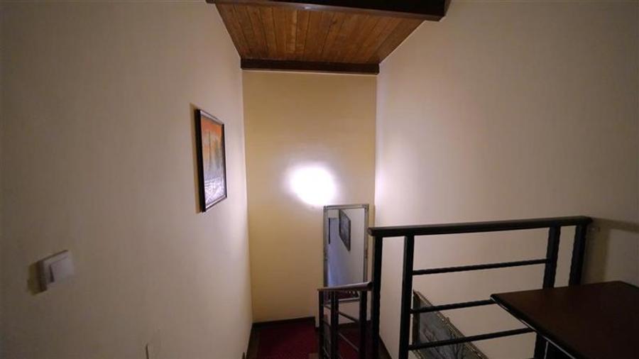 Casa primitoare in cartierul Iosia - 13