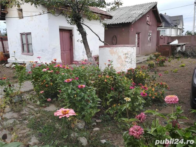 Vand casa schimb in Corabia,jud Olt - 8