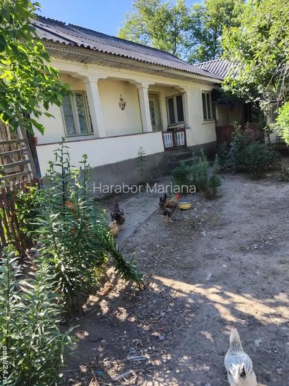 Vand casa Campuri