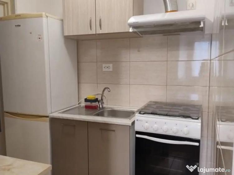 Aparatorii patriei parter la curte - 4