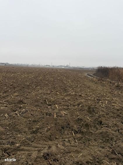 Vand Teren Hemeiusi sat Liliecipe strada prelungirea crinului - 3