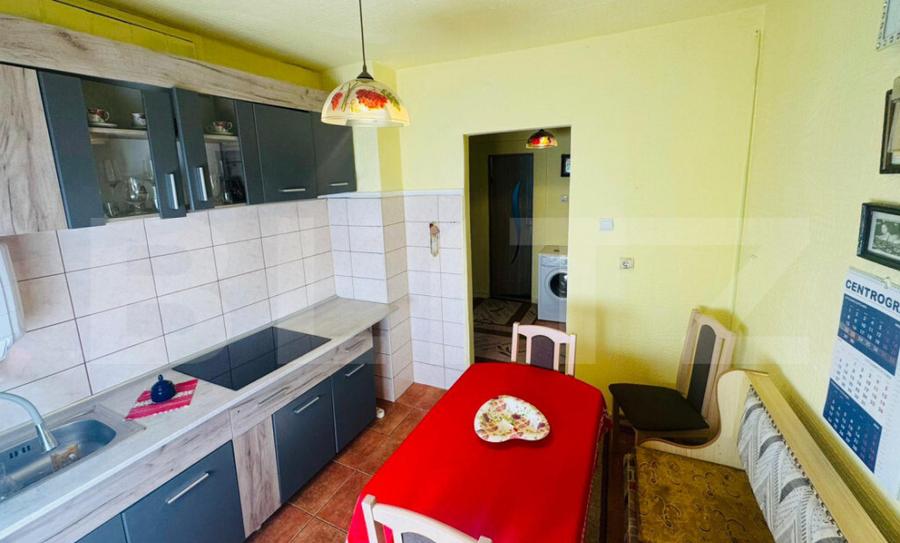 Apartament pentru vacan?a, 2 camere, 52 mp., Deda - 10