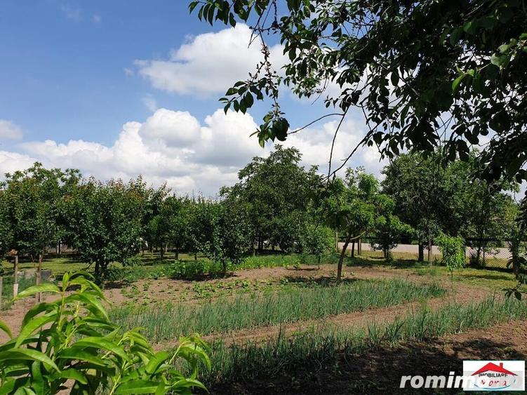 Casa cu gradina in Cauas zona Tasnad - 4