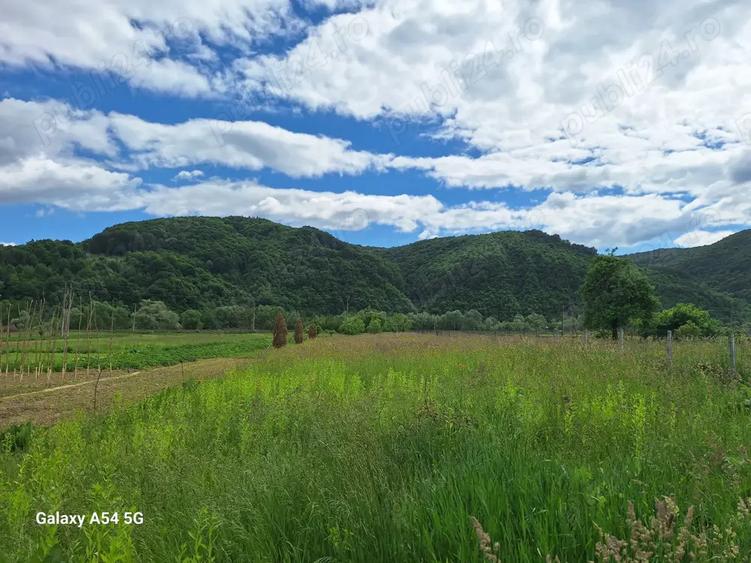 De vanzare casa si gradina 2782 mp in Rebrisoara - 2