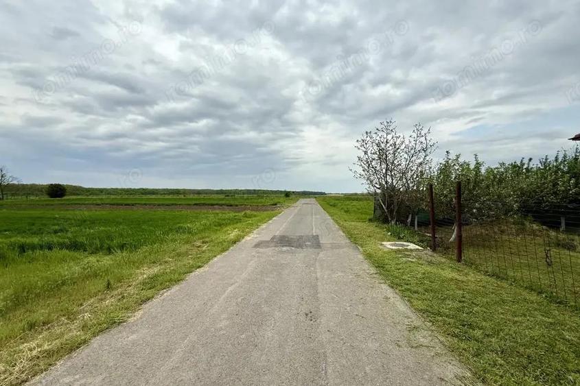 Teren intravilan de 1000 mp in Gradi?tea, Ilfov ideal pentru casa ta - 5