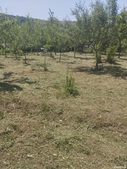 vand casa in judetul Salaj - 2