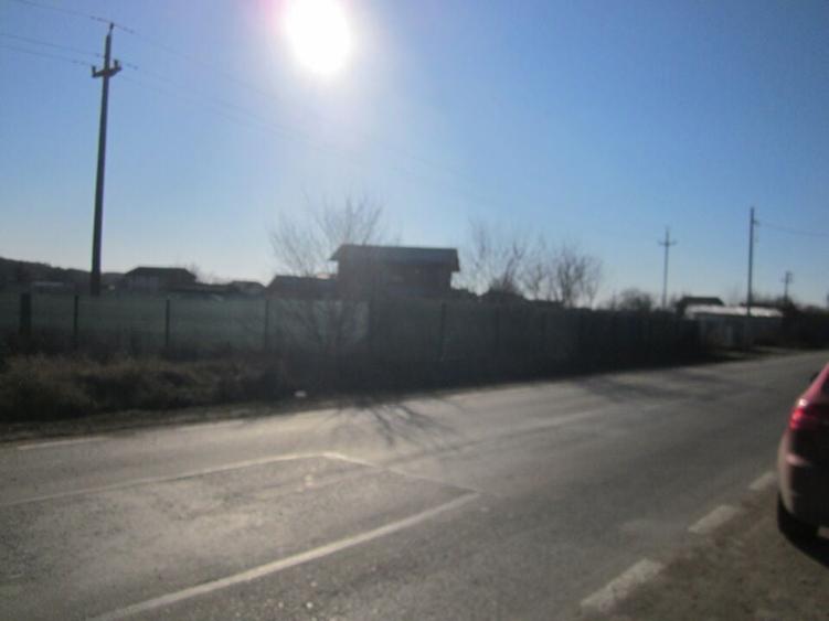 Teghes-Padurarului - 1