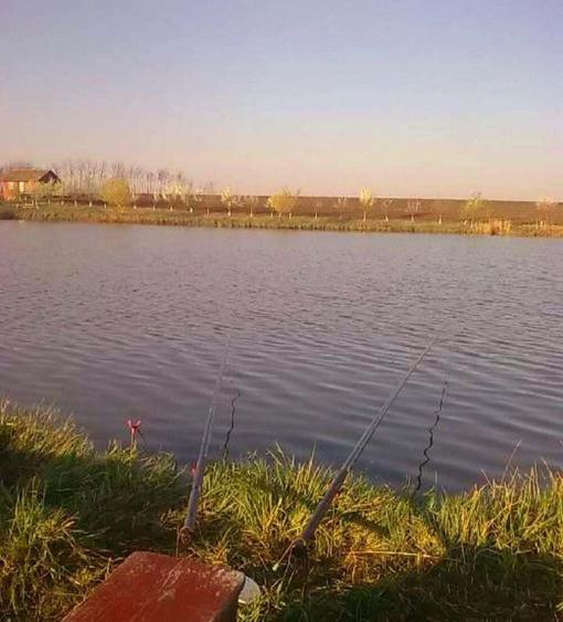 Teren Valea Plopilor com Ghimpati - 2