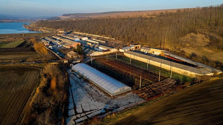 Fosta Ferma a Partidului de la Horgesti - de vanzare - 6