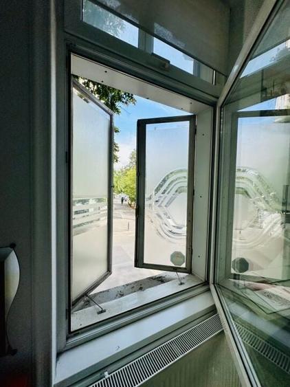 Armeneasca - Pache Protopopescu apartament in vila arhitectura deosebita - 18