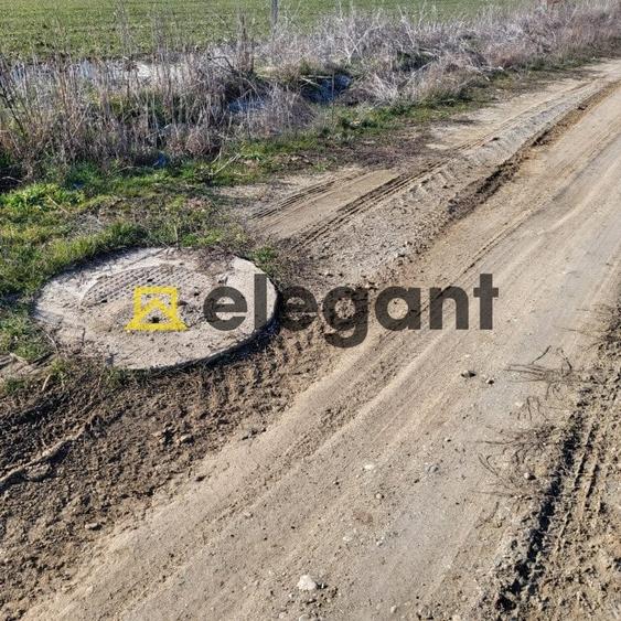 Teren 1.500 mp, deschidere 15 ml, Carcea in apropiere de VEROTHERM VILLAS - 5