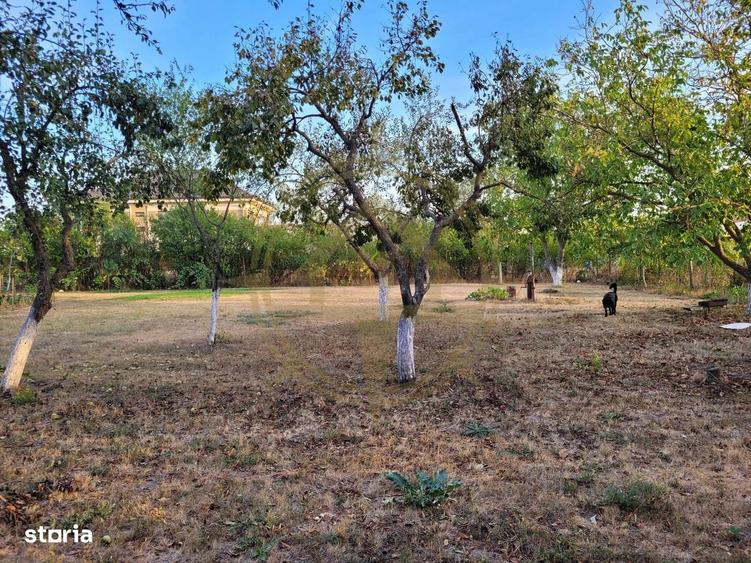 Dom00438 - de vanzare teren intravilan 1000 mp. corbeanca - 2