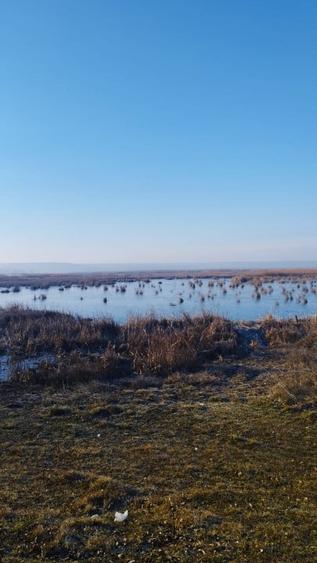 Vand teren intravilan 4000MP cu  dechidere la Delta Neajlovului, Comana GR - 4