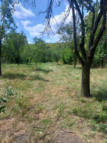 Casa si teren,gaze,lumina,put,acte la zi - 2