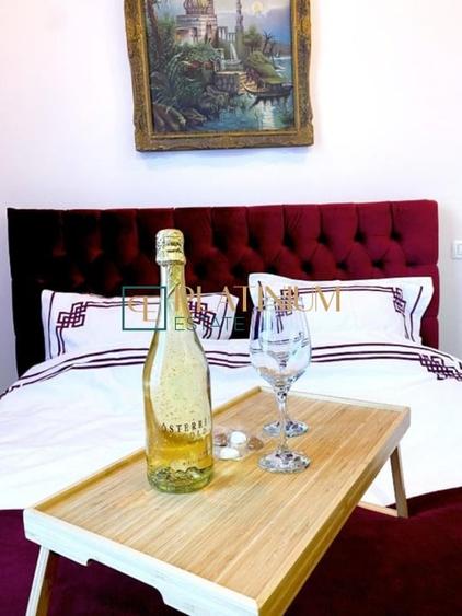 P906 Apartament 2 camere + Garsoniera , 2 unitati , ULTRACENTRAL ,zona pietonala - 14