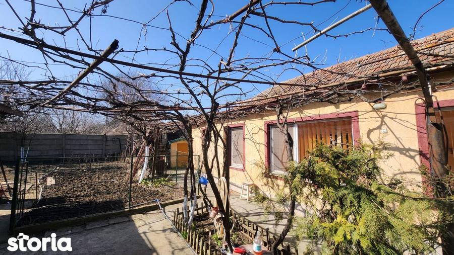 Casa 3 camere, Viile Noi ,teren 461 mp - 2