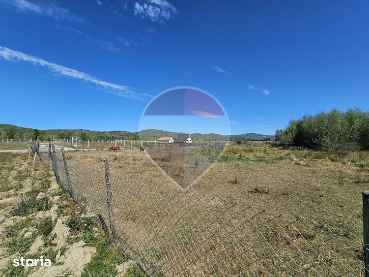 Teren de 3000 mp, în Bocicoiu Mare
