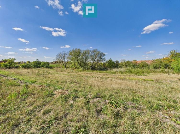 Teren intravilan 6115mp pentru investiții Firiteaz - 5