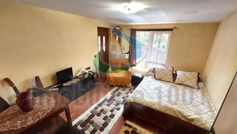 Curtuiusu Mare, casa 4 camere, suprafata utila 105 mp, teren 2431 mp - 10