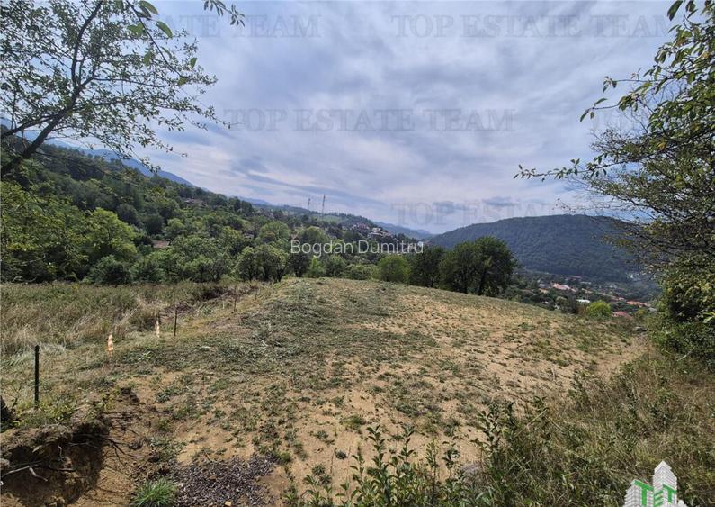 Teren intravilan pentru investitie turistica, 4000 mp, langa