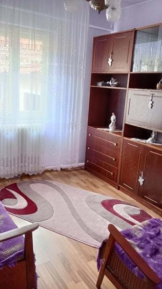 Vand casa cu anexe - 3