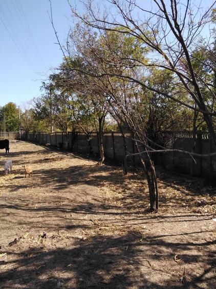 Teren intravilan generos - 4