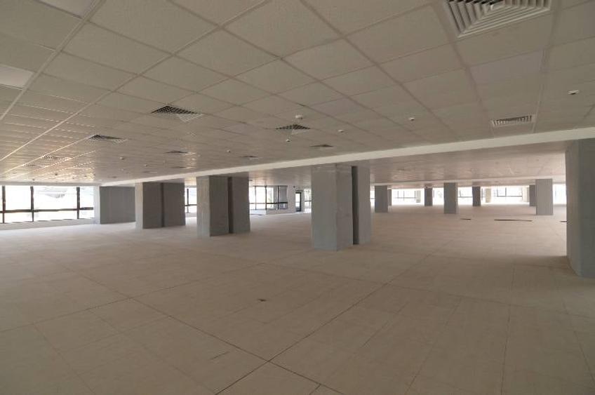 Sema Parc cladirea Bruxelles, Grozavesti, 1164 - 2616 mp  0% comision! - 14