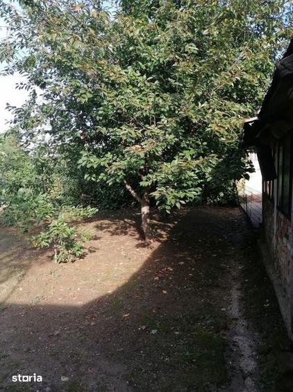 Casa De Vanzare LACUL TEI - 11