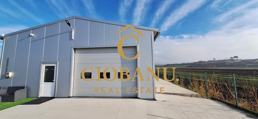 Hala de vanzare in Racarii de Jos - 1