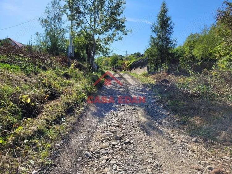 Teren intravilan in Poiana Campina 4285 mp parcelabil 11,6e - 3