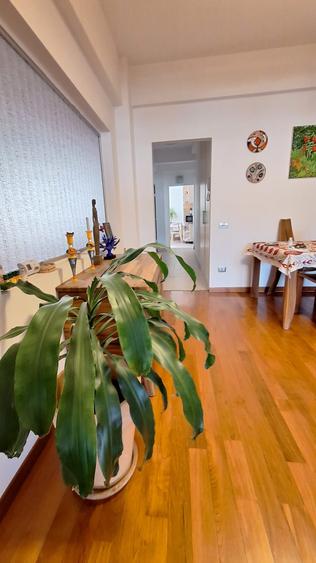 Apartament superb si luminos  4 camere Cismigiu cu terasa 18m - 6