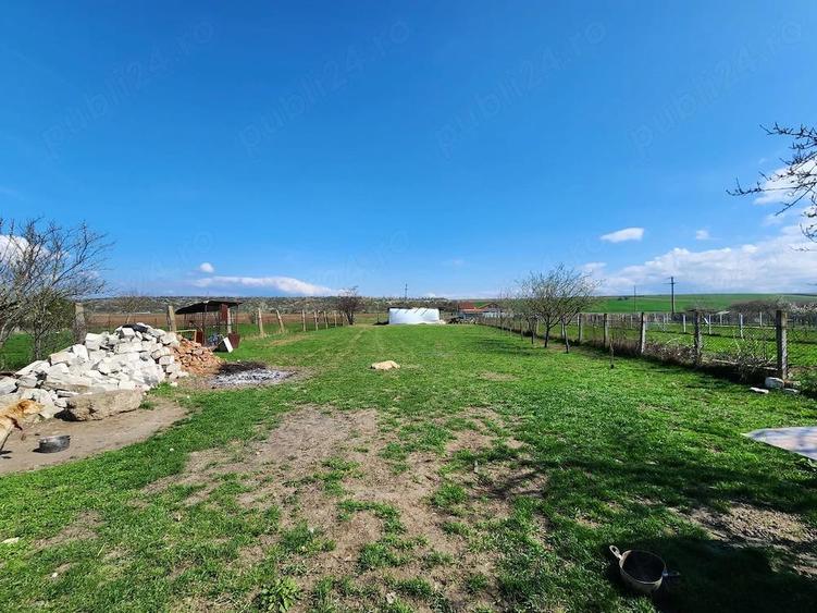 Proprietate deosebita de vanzare in Santandrei (5 km de Deva) ideala pentru familie sau investi?ie - 9