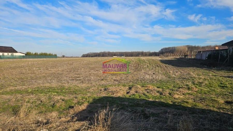 Magurele Strada Stejarului - 6