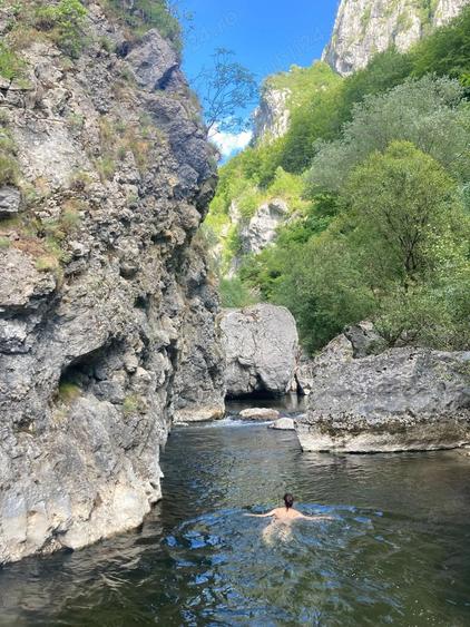 Oportunitate unica ! Proprietate in parc na?ional pe malul Cernei ! - 5