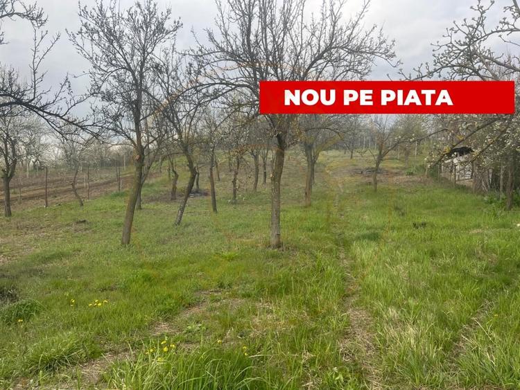 Teren intravilan 2.200 mp cu constructie existenta –Calinesti- Vranesti-Arges! - 1