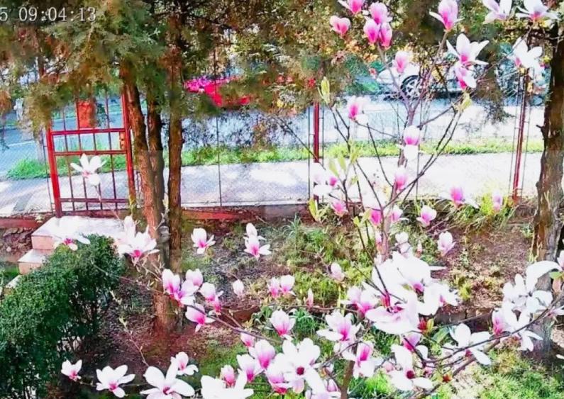 Casa individuala, 130mp utili, 434 teren, garaj, Zorilor! - 15