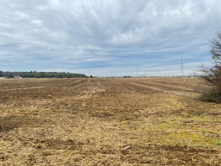 MAGURELE iF LOCALITATEA PRUNI ,LOTURI DE VANZARE - 6