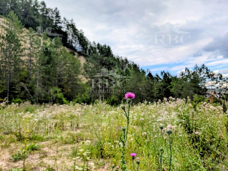 Teren intravilan pentru constructie casa in Cheile Baciului - 3