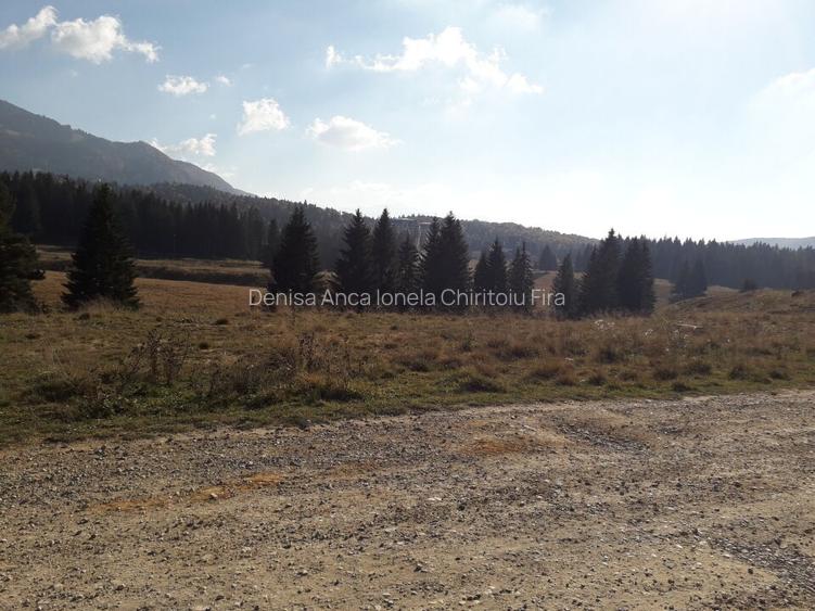 Ocazie unica la licitatie: Teren cu Potential Turistic Major in Poiana Brasov