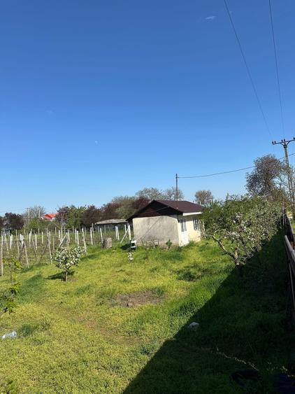 Vand loc de casa - 6