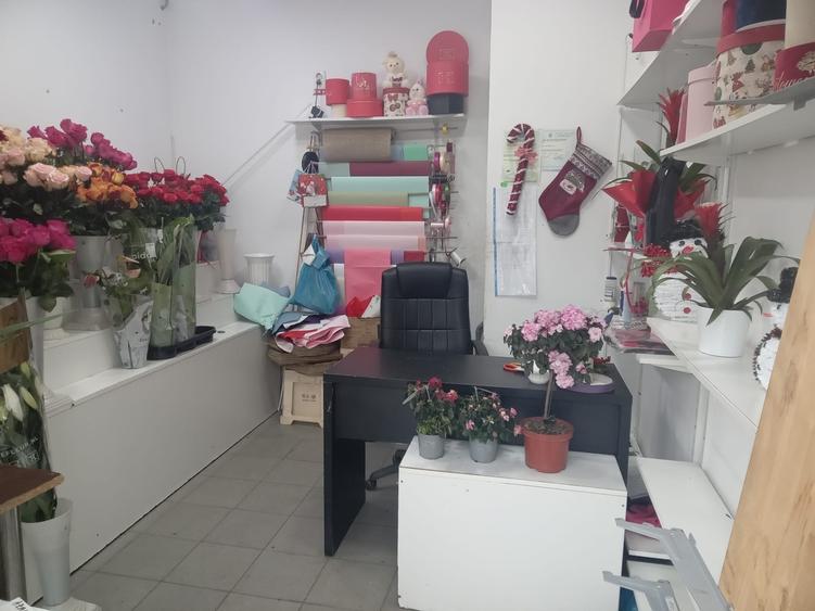 Gara De Nord, vand spatiu cu chirias stabil - 4