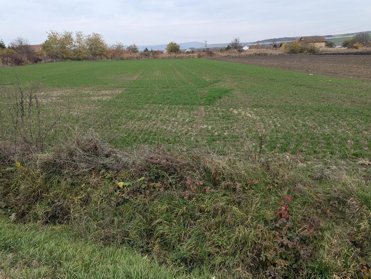 Teren intravilan Ungheni - 1