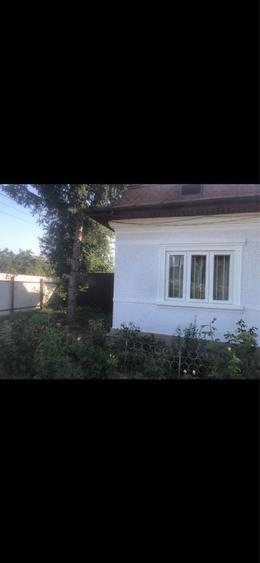 Casa de vanzare cu vie - 6