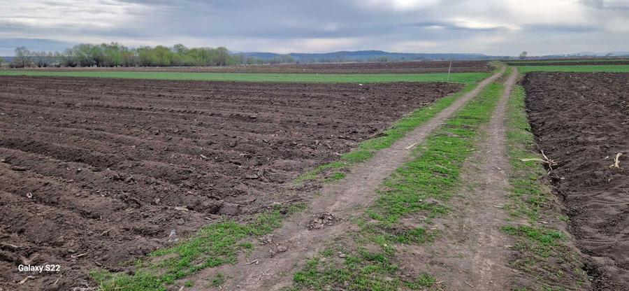 Teren extravilan - 7