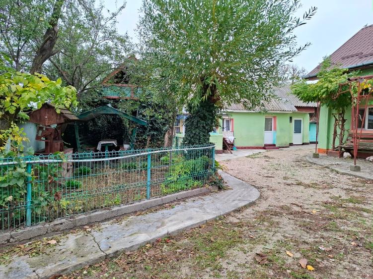 Oportunitate rară: gospodărie completă cu livadă și teren generos în Crâmpoia –  - 5